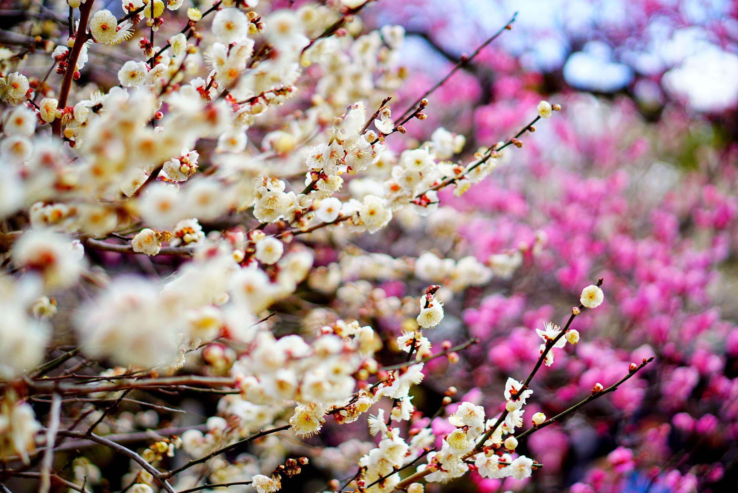 Hotel Wbf Kyoto Shijo Nishikitei 外观 照片